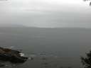 ./images/koeye/fitz-hugh/20140927/fitz-hugh20140927_081502.jpg