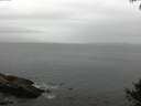 ./images/koeye/fitz-hugh/20140927/fitz-hugh20140927_082003.jpg