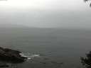 ./images/koeye/fitz-hugh/20140927/fitz-hugh20140927_083503.jpg