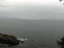 ./images/koeye/fitz-hugh/20140927/fitz-hugh20140927_084003.jpg