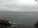 ./images/koeye/fitz-hugh/20140927/fitz-hugh20140927_090501.jpg
