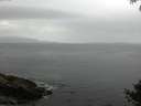 ./images/koeye/fitz-hugh/20140927/fitz-hugh20140927_091002.jpg