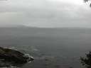 ./images/koeye/fitz-hugh/20140927/fitz-hugh20140927_091502.jpg