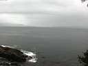 ./images/koeye/fitz-hugh/20140927/fitz-hugh20140927_092501.jpg