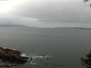 ./images/koeye/fitz-hugh/20140927/fitz-hugh20140927_100502.jpg