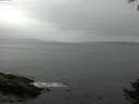 ./images/koeye/fitz-hugh/20140927/fitz-hugh20140927_101002.jpg