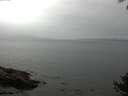 ./images/koeye/fitz-hugh/20140927/fitz-hugh20140927_101502.jpg
