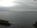 ./images/koeye/fitz-hugh/20140927/fitz-hugh20140927_102502.jpg