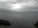 ./images/koeye/fitz-hugh/20140927/fitz-hugh20140927_104502.jpg
