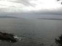 ./images/koeye/fitz-hugh/20140927/fitz-hugh20140927_105502.jpg