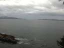 ./images/koeye/fitz-hugh/20140927/fitz-hugh20140927_110501.jpg