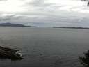 ./images/koeye/fitz-hugh/20140927/fitz-hugh20140927_113501.jpg