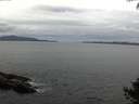 ./images/koeye/fitz-hugh/20140927/fitz-hugh20140927_114501.jpg