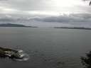 ./images/koeye/fitz-hugh/20140927/fitz-hugh20140927_120501.jpg