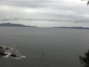 ./images/koeye/fitz-hugh/20140927/fitz-hugh20140927_124502.jpg