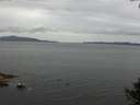 ./images/koeye/fitz-hugh/20140927/fitz-hugh20140927_125003.jpg