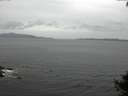 ./images/koeye/fitz-hugh/20140927/fitz-hugh20140927_132003.jpg