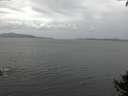 ./images/koeye/fitz-hugh/20140927/fitz-hugh20140927_142002.jpg