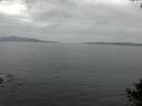 ./images/koeye/fitz-hugh/20140927/fitz-hugh20140927_160502.jpg