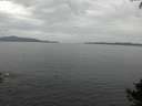 ./images/koeye/fitz-hugh/20140927/fitz-hugh20140927_161001.jpg
