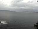 ./images/koeye/fitz-hugh/20140927/fitz-hugh20140927_164503.jpg