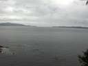 ./images/koeye/fitz-hugh/20140927/fitz-hugh20140927_165503.jpg
