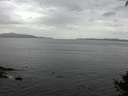./images/koeye/fitz-hugh/20140927/fitz-hugh20140927_172503.jpg
