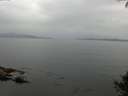 ./images/koeye/fitz-hugh/20140927/fitz-hugh20140927_181002.jpg