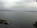./images/koeye/fitz-hugh/20140927/fitz-hugh20140927_181502.jpg