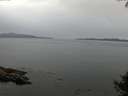 ./images/koeye/fitz-hugh/20140927/fitz-hugh20140927_182502.jpg