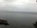 ./images/koeye/fitz-hugh/20140927/fitz-hugh20140927_185002.jpg