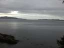 ./images/koeye/fitz-hugh/20140927/fitz-hugh20140927_192503.jpg
