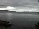 ./images/koeye/fitz-hugh/20140927/fitz-hugh20140927_194503.jpg