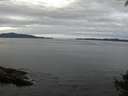 ./images/koeye/fitz-hugh/20140928/fitz-hugh20140928_072501.jpg