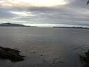 ./images/koeye/fitz-hugh/20140928/fitz-hugh20140928_081003.jpg