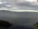 ./images/koeye/fitz-hugh/20140928/fitz-hugh20140928_092002.jpg