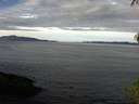 ./images/koeye/fitz-hugh/20140928/fitz-hugh20140928_104003.jpg
