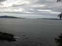 ./images/koeye/fitz-hugh/20140928/fitz-hugh20140928_114501.jpg