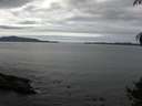./images/koeye/fitz-hugh/20140928/fitz-hugh20140928_120503.jpg