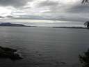 ./images/koeye/fitz-hugh/20140928/fitz-hugh20140928_121503.jpg