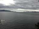 ./images/koeye/fitz-hugh/20140928/fitz-hugh20140928_145002.jpg
