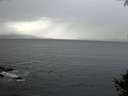 ./images/koeye/fitz-hugh/20140928/fitz-hugh20140928_180501.jpg