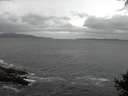 ./images/koeye/fitz-hugh/20140928/fitz-hugh20140928_194002.jpg