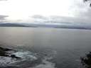 ./images/koeye/fitz-hugh/20140929/fitz-hugh20140929_072502.jpg