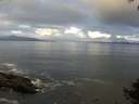 ./images/koeye/fitz-hugh/20140929/fitz-hugh20140929_082002.jpg