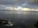 ./images/koeye/fitz-hugh/20140929/fitz-hugh20140929_082503.jpg