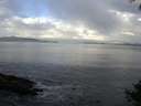 ./images/koeye/fitz-hugh/20140929/fitz-hugh20140929_085002.jpg
