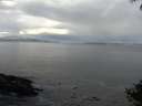 ./images/koeye/fitz-hugh/20140929/fitz-hugh20140929_091002.jpg