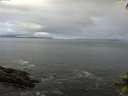 ./images/koeye/fitz-hugh/20140929/fitz-hugh20140929_092002.jpg