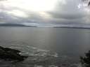 ./images/koeye/fitz-hugh/20140929/fitz-hugh20140929_102002.jpg
